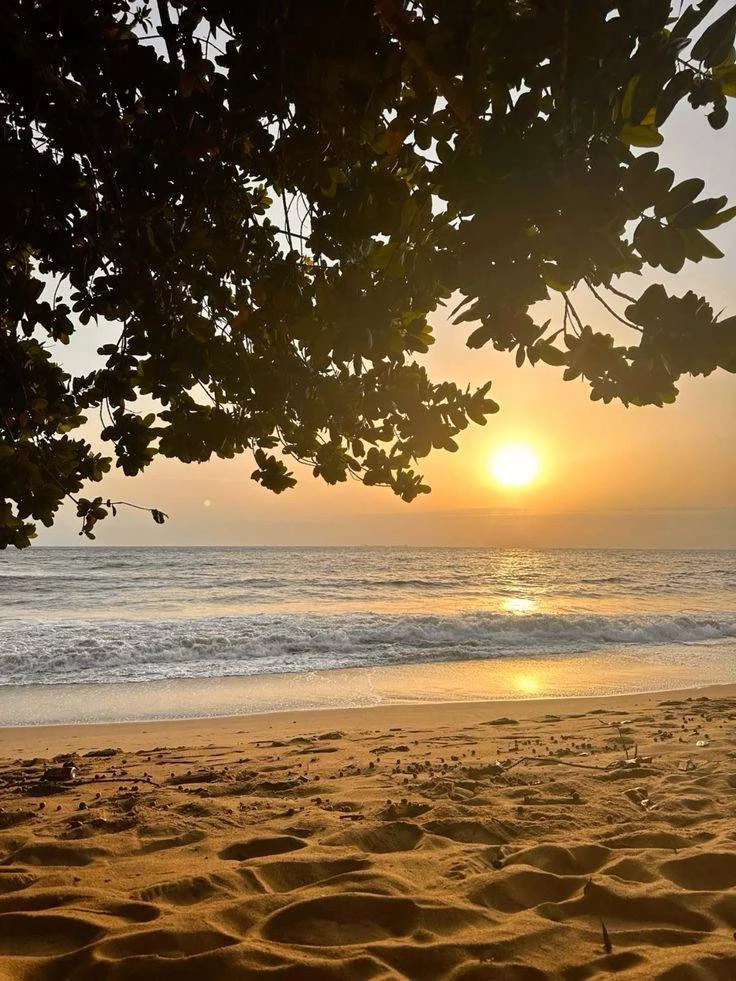 Kribi