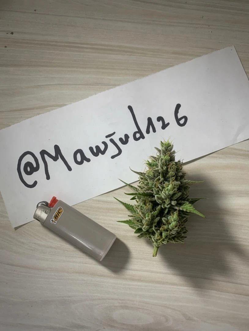 Premium Flowers